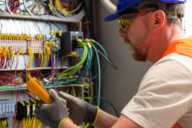 Best Electrical Repair Services  in Shelbyvle, IL